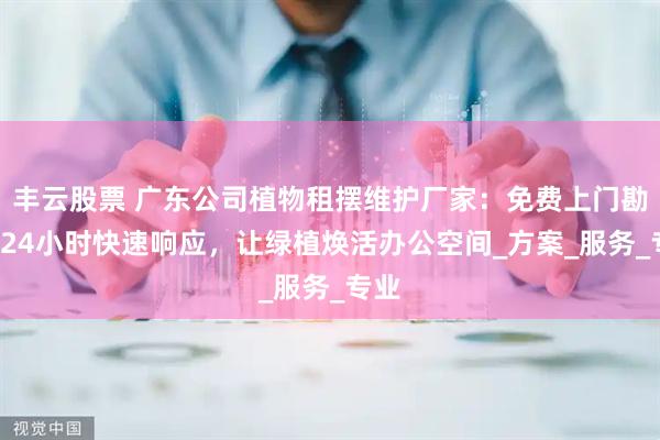 丰云股票 广东公司植物租摆维护厂家：免费上门勘测+24小时快速响应，让绿植焕活办公空间_方案_服务_专业