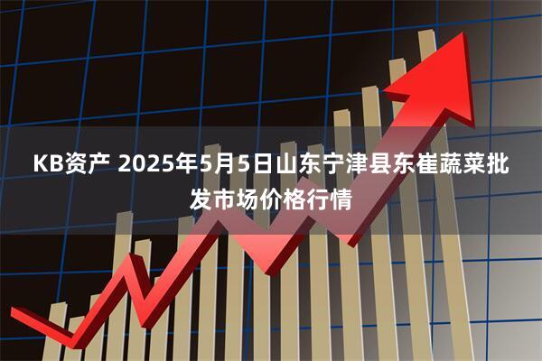 KB资产 2025年5月5日山东宁津县东崔蔬菜批发市场价格行情
